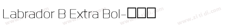 Labrador B Extra Bol字体转换